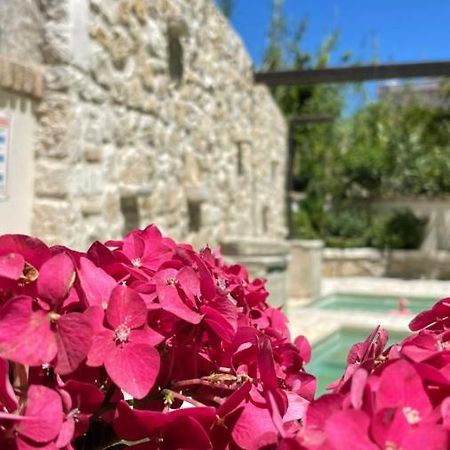 Carpofoli Corfu Daire Korfu Dış mekan fotoğraf