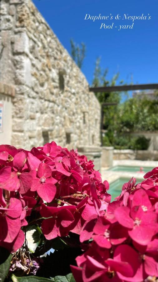 Carpofoli Corfu Daire Korfu Dış mekan fotoğraf