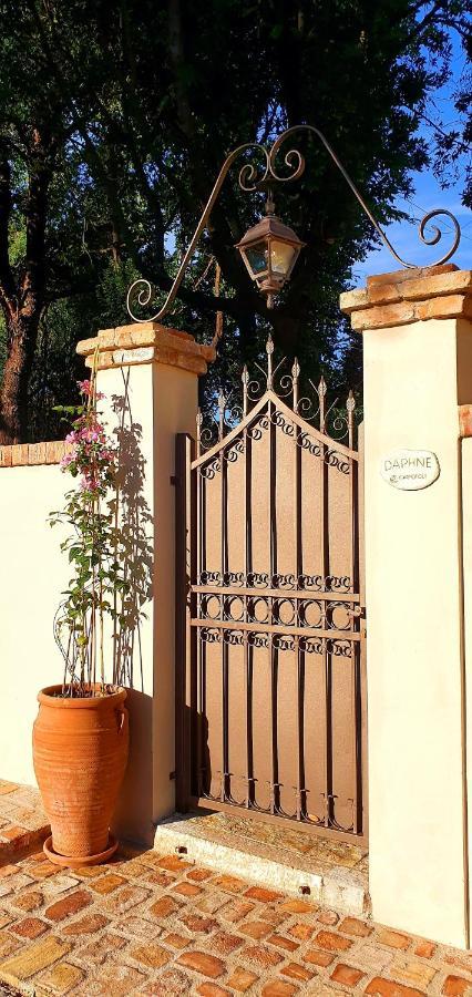 Carpofoli Corfu Daire Korfu Dış mekan fotoğraf