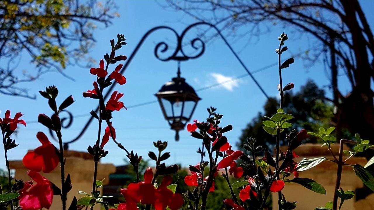 Carpofoli Corfu Daire Korfu Dış mekan fotoğraf